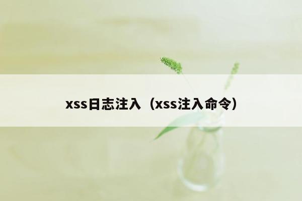 xss日志注入（xss注入命令）