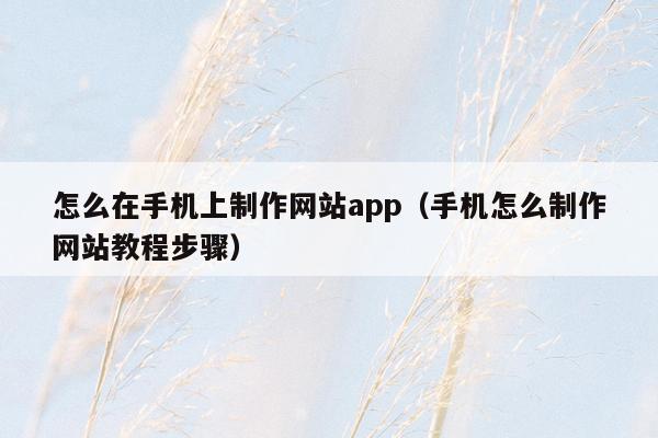 怎么在手机上制作网站app（手机怎么制作网站教程步骤）