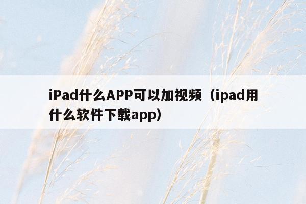 iPad什么APP可以加视频（ipad用什么软件下载app）