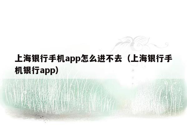 上海银行手机app怎么进不去（上海银行手机银行app）