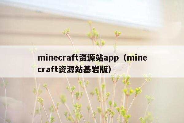 minecraft资源站app（minecraft资源站基岩版）