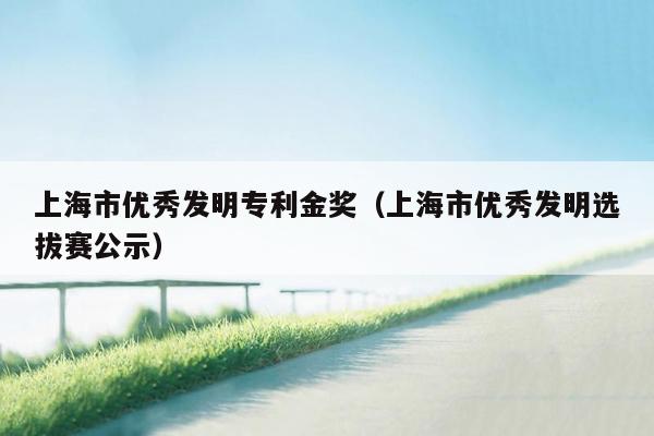 上海市优秀发明专利金奖（上海市优秀发明选拔赛公示）