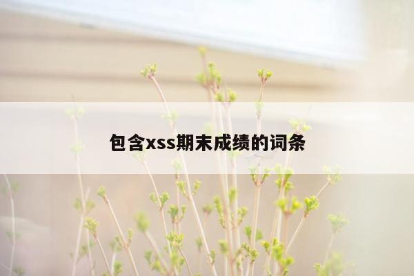 包含xss期末成绩的词条