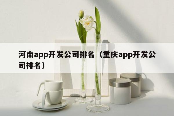 河南app开发公司排名（重庆app开发公司排名）