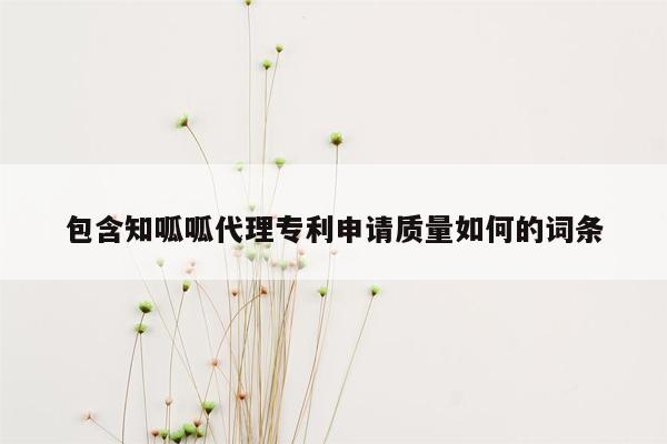 包含知呱呱代理专利申请质量如何的词条