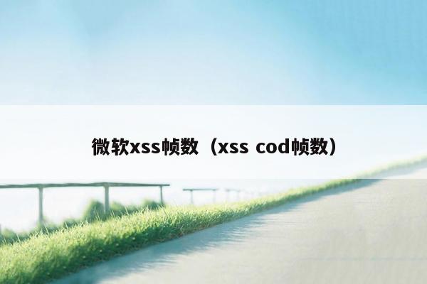 微软xss帧数（xss cod帧数）