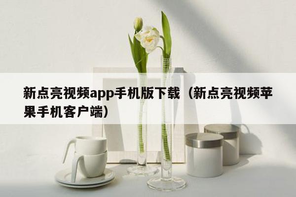 新点亮视频app手机版下载（新点亮视频苹果手机客户端）