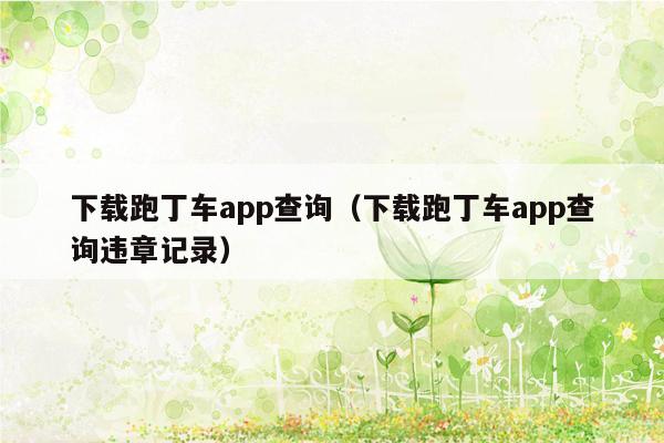 下载跑丁车app查询（下载跑丁车app查询违章记录）