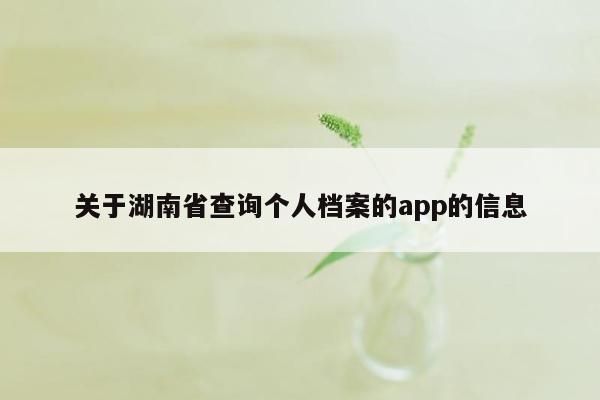 关于湖南省查询个人档案的app的信息