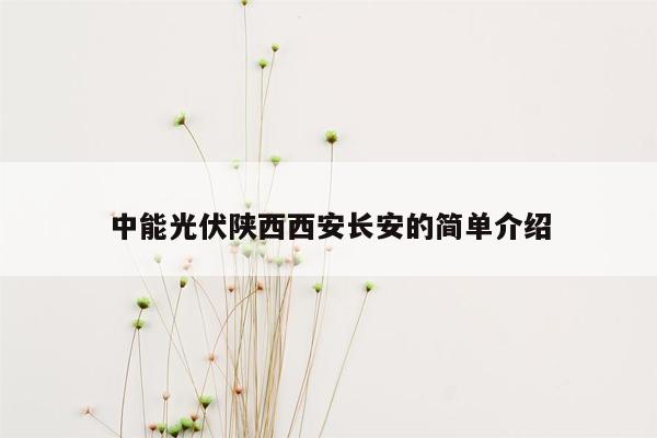 中能光伏陕西西安长安的简单介绍