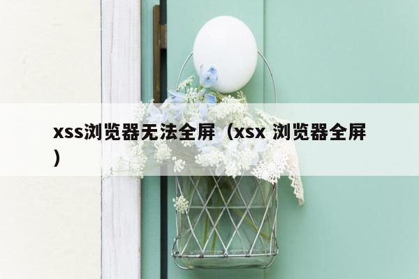 xss浏览器无法全屏（xsx 浏览器全屏）