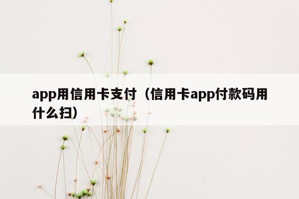 app用信用卡支付（信用卡app付款码用什么扫）