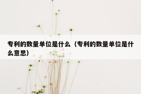 专利的数量单位是什么（专利的数量单位是什么意思）