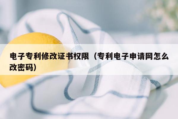 电子专利修改证书权限（专利电子申请网怎么改密码）