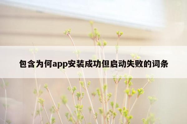 包含为何app安装成功但启动失败的词条