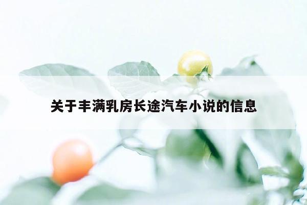 关于丰满乳房长途汽车小说的信息