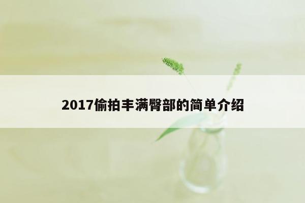 2017偷拍丰满臀部的简单介绍