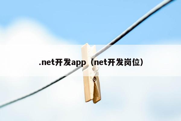 .net开发app（net开发岗位）