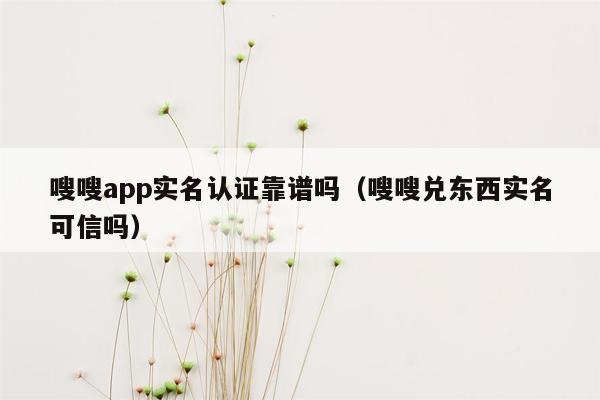 嗖嗖app实名认证靠谱吗（嗖嗖兑东西实名可信吗）