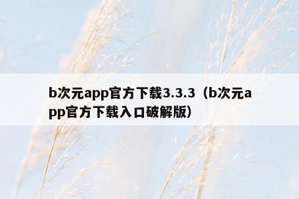 b次元app官方下载3.3.3（b次元app官方下载入口破解版）