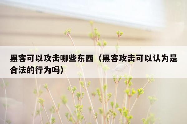 黑客可以攻击哪些东西（黑客攻击可以认为是合法的行为吗）