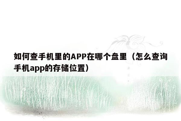 如何查手机里的APP在哪个盘里（怎么查询手机app的存储位置）