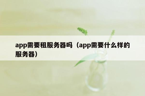 app需要租服务器吗（app需要什么样的服务器）