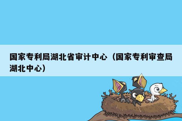 国家专利局湖北省审计中心（国家专利审查局湖北中心）