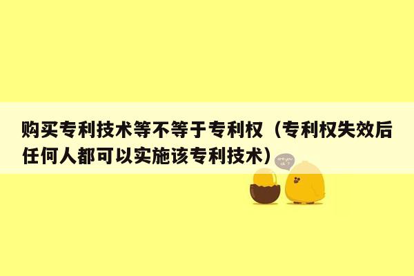 购买专利技术等不等于专利权（专利权失效后任何人都可以实施该专利技术）