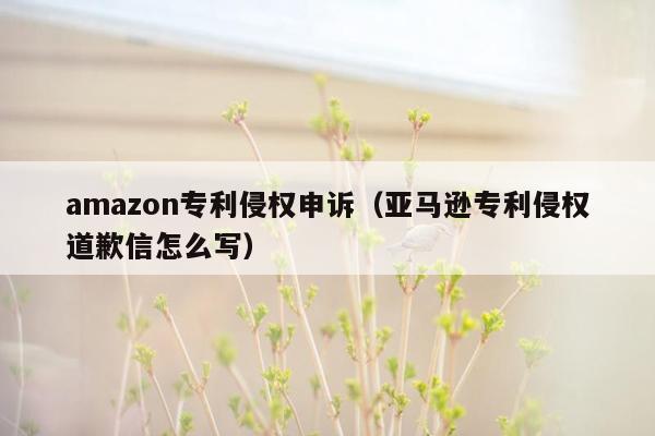 amazon专利侵权申诉（亚马逊专利侵权道歉信怎么写）