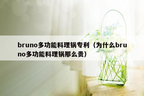 bruno多功能料理锅专利（为什么bruno多功能料理锅那么贵）