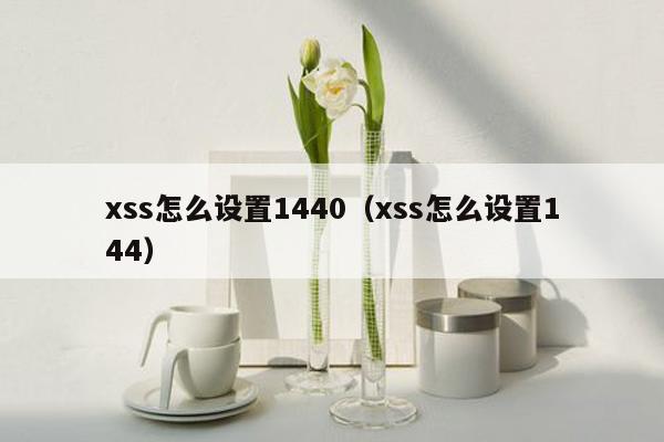 xss怎么设置1440（xss怎么设置144）