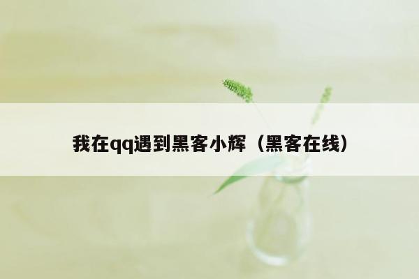 我在qq遇到黑客小辉（黑客在线）