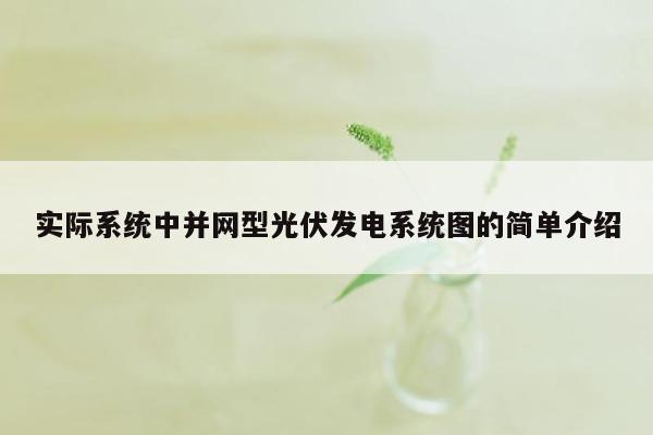 实际系统中并网型光伏发电系统图的简单介绍