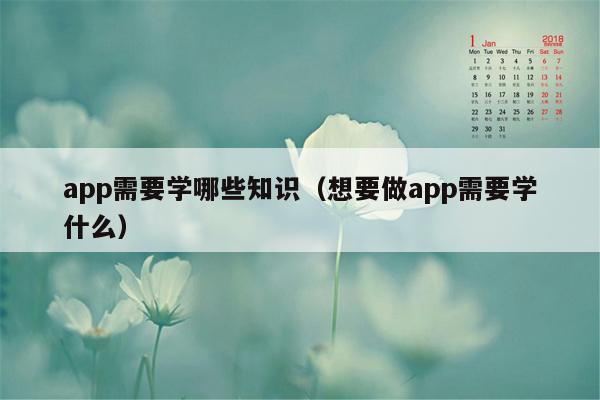 app需要学哪些知识（想要做app需要学什么）