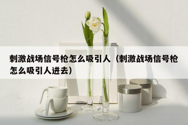 刺激战场信号枪怎么吸引人（刺激战场信号枪怎么吸引人进去）