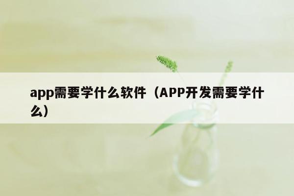 app需要学什么软件（APP开发需要学什么）