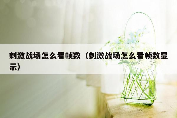 刺激战场怎么看帧数（刺激战场怎么看帧数显示）