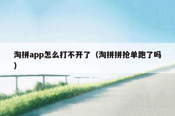 淘拼app怎么打不开了（淘拼拼抢单跑了吗）