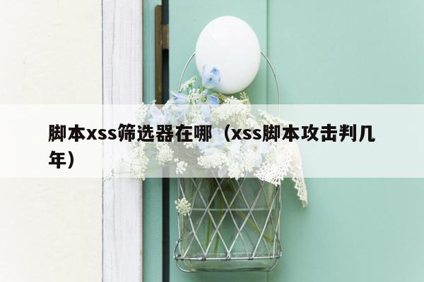 脚本xss筛选器在哪（xss脚本攻击判几年）