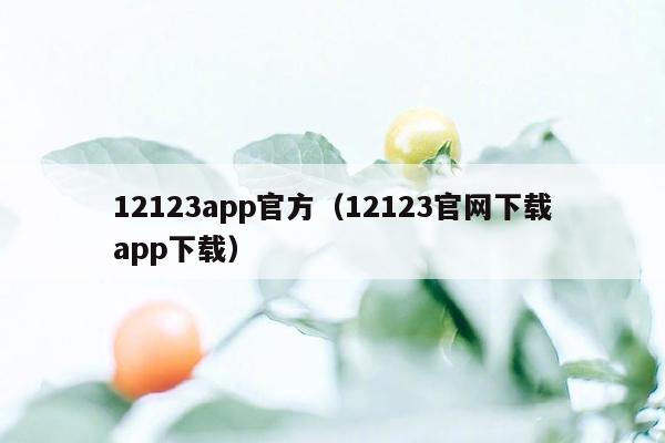 12123app官方（12123官网下载app下载）