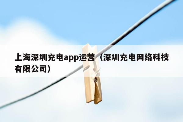 上海深圳充电app运营（深圳充电网络科技有限公司）