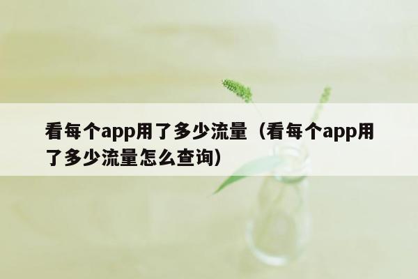 看每个app用了多少流量（看每个app用了多少流量怎么查询）