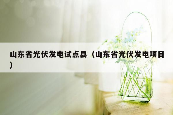 山东省光伏发电试点县（山东省光伏发电项目）