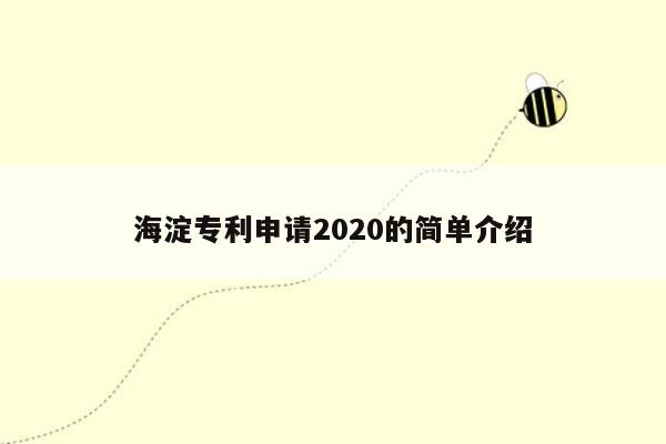 海淀专利申请2020的简单介绍