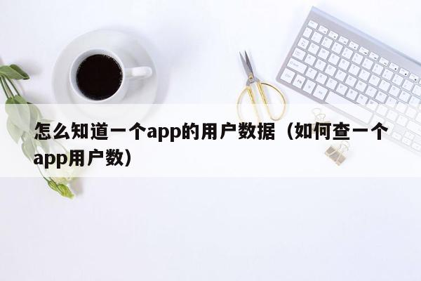 怎么知道一个app的用户数据（如何查一个app用户数）