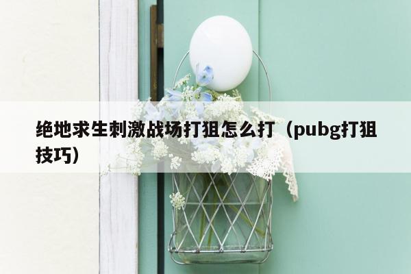 绝地求生刺激战场打狙怎么打（pubg打狙技巧）