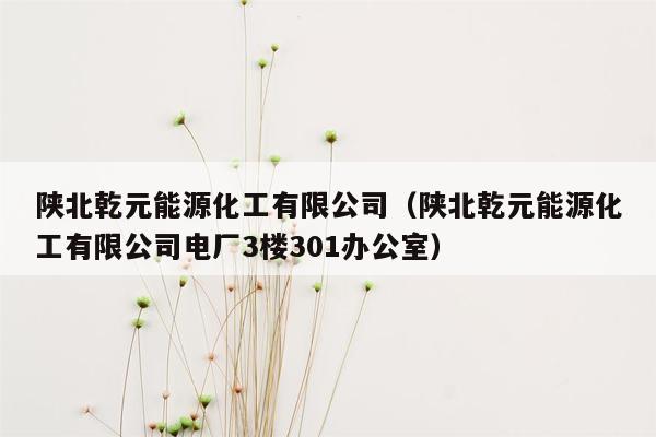 陕北乾元能源化工有限公司（陕北乾元能源化工有限公司电厂3楼301办公室）