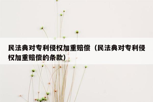 民法典对专利侵权加重赔偿（民法典对专利侵权加重赔偿的条款）