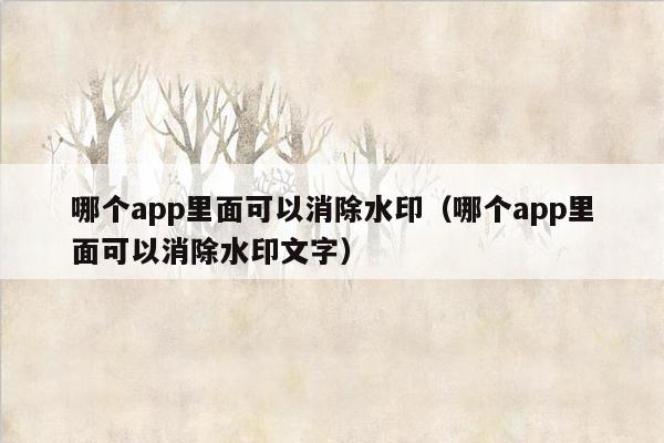 哪个app里面可以消除水印（哪个app里面可以消除水印文字）